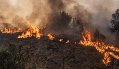 Wildfires scorch 100,000+ hectares, force evacuations in S Africa’s Western Cape