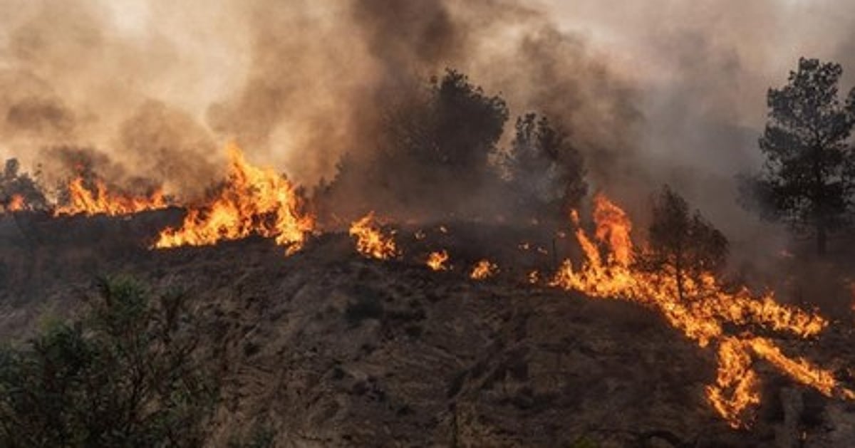 Wildfires scorch 100,000+ hectares, force evacuations in S Africa’s Western Cape