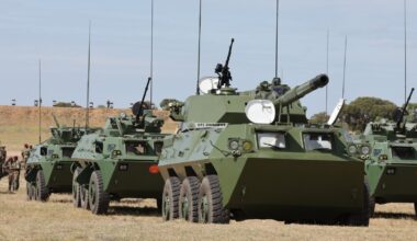 African Military Profile: Zimbabwe