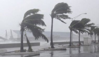 ywAAAAAAQABAAACAUwAOw== - Senenews - Actualité au Sénégal, Politique, Économie, Sport