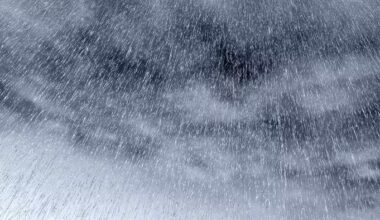 ywAAAAAAQABAAACAUwAOw== - Senenews - Actualité au Sénégal, Politique, Économie, Sport