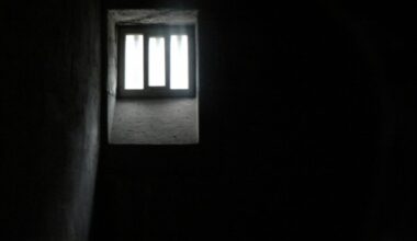 Rhinos Win Domestic T20 PCI Zimbabwe Cricket