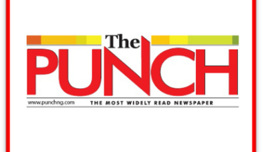 No Party Can Defeat Tinubu in 2027 Election