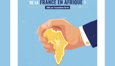 Que reste-t-il des intérêts économiques de la France en Afrique ?