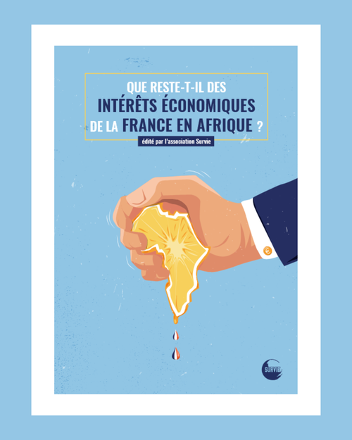 Que reste-t-il des intérêts économiques de la France en Afrique ?