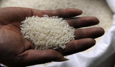 ywAAAAAAQABAAACAUwAOw== - Senenews - Actualité au Sénégal, Politique, Économie, Sport