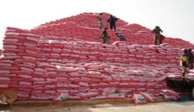 ywAAAAAAQABAAACAUwAOw== - Senenews - Actualité au Sénégal, Politique, Économie, Sport