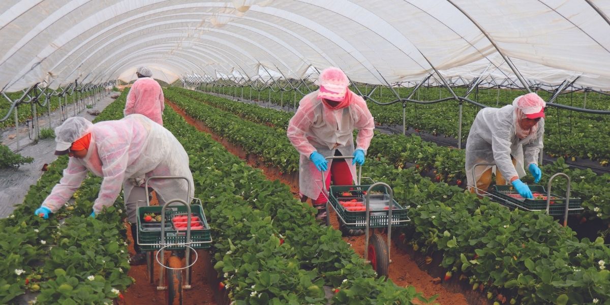 Travailleurs saisonniers : l’Espagne franchit un nouveau cap