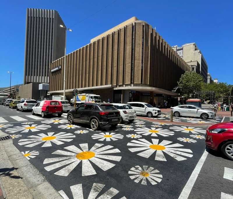 Daisies on Strand Street. Photo: Janet Heard