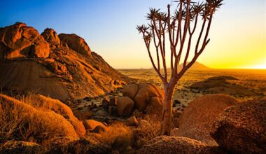 Namibia travel - Lonely Planet