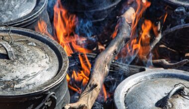 Kenya, Norway, US and IEA to hold 2nd major Summit on Clean Cooking in Africa - News