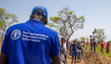 Zimbabwe rolls out FAO voucher programme as El Niño threatens food security