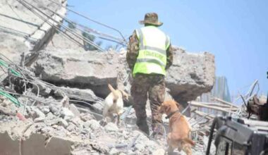 Traders count losses as business resumes after South C building collapse