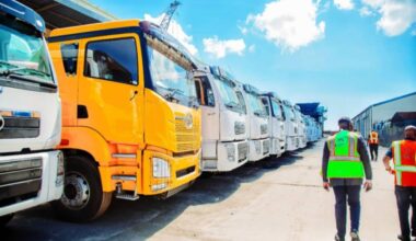 Tanga Port targets integrity as vehicle trade surges