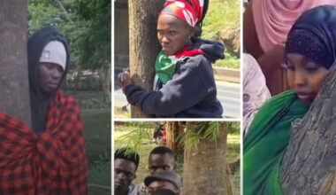 Ministry of Health Directs Mandatory Medical Checkup Before Engaging in Tree-Hugging Exercise