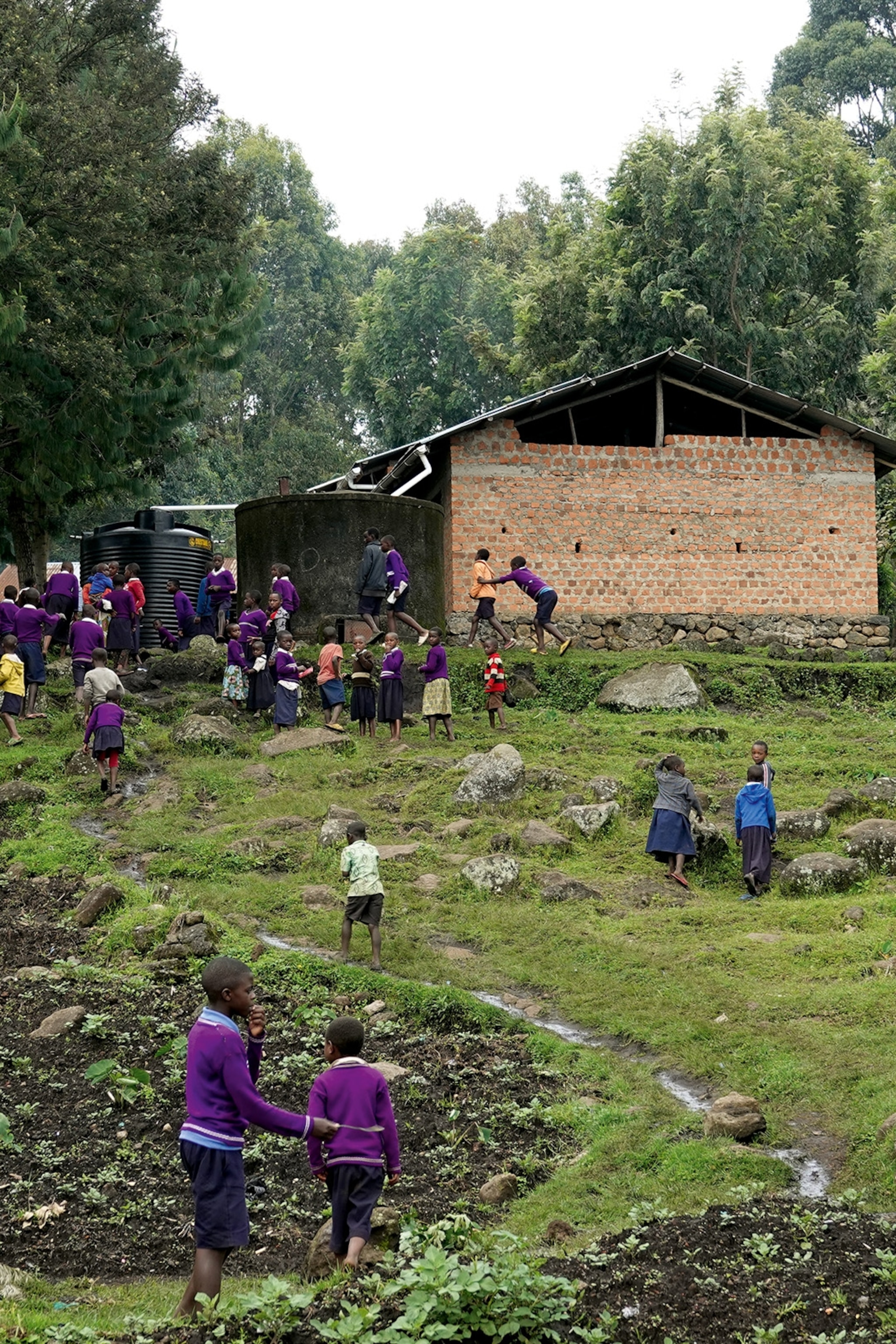 Nyagakenke school is being built by the Gorilla Orgnization.