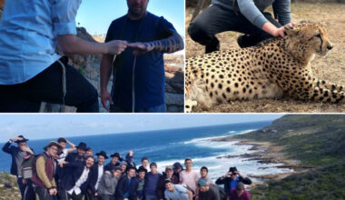 Yeshivas Kayitz South Africa Announces Staff for Summer 5786