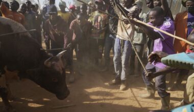 Inside Kenya's bullfighting tradition | AP News