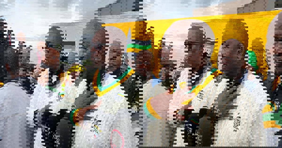 Ramaphosa mulls over crackdown on ‘unpatriotic’ lobbying