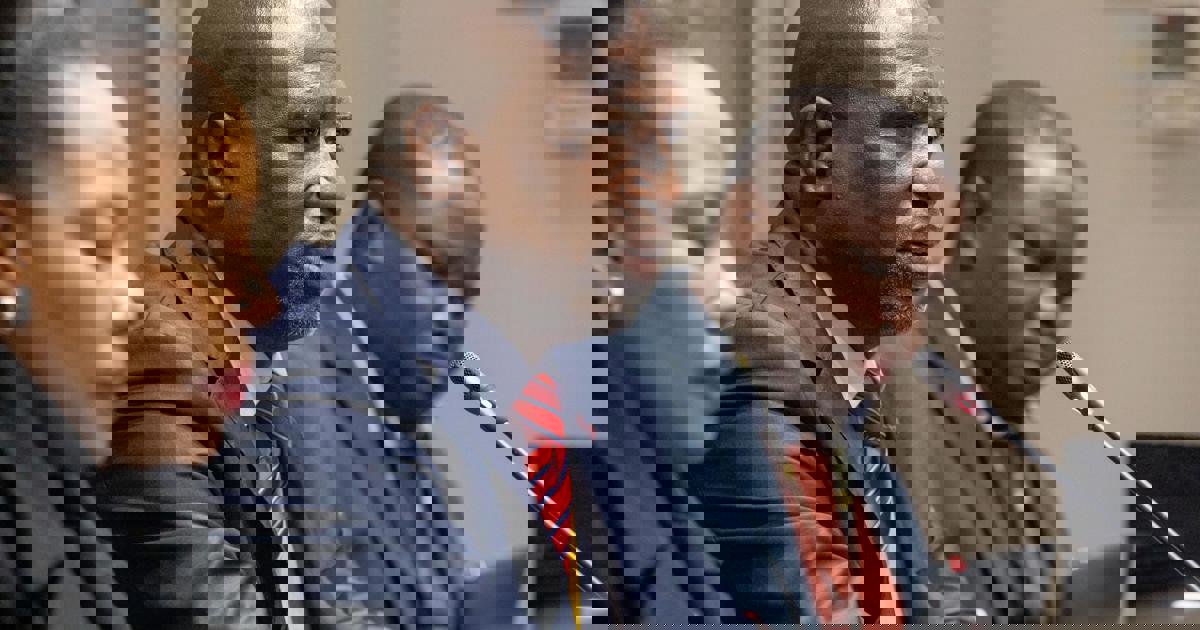 MK Party, EFF clash over calling judges to Parly’s committee probing police graft