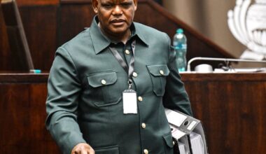 Former Acting Police Commissioner tells parliament Mbalula had no legal power to suspend him