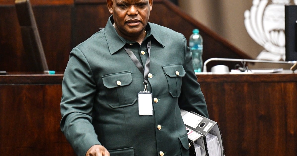 Former Acting Police Commissioner tells parliament Mbalula had no legal power to suspend him