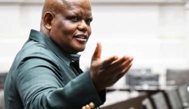 Phahlane claims SAPS political interference began at ANC’s 2007 conference