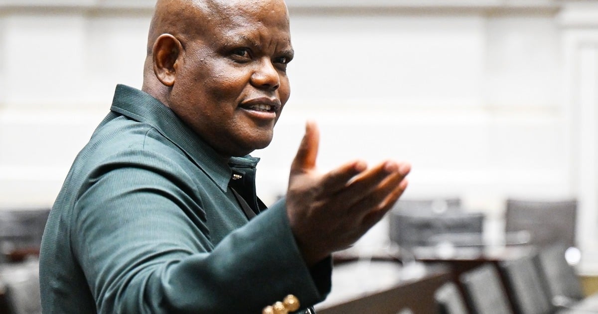 Phahlane claims SAPS political interference began at ANC’s 2007 conference