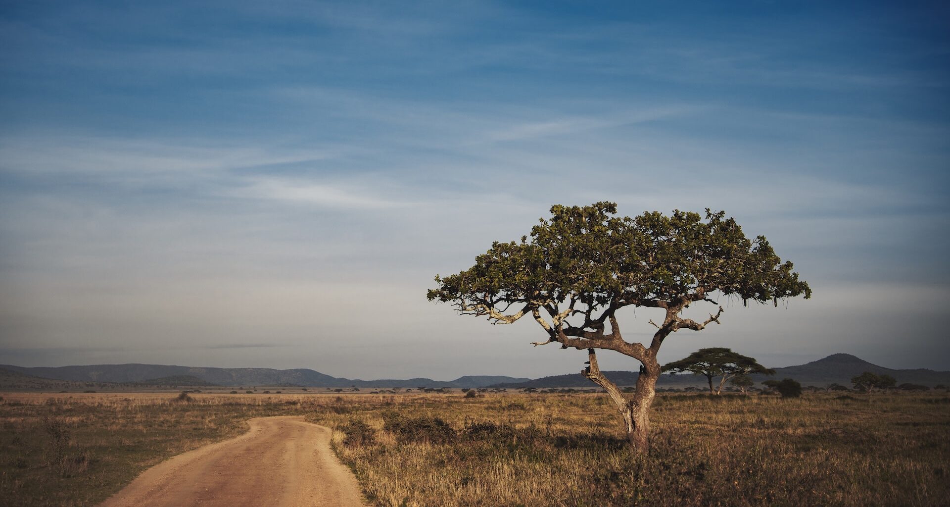 Researchers revealed startling new findings about the white-bearded wildebeest's migration in Kenya and the severe threats they face.