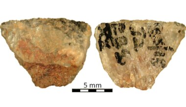 60,000-year-old poison arrows from South Africa reveal the world&rsquo;s earliest poisoned weapons and advanced hunting techniques