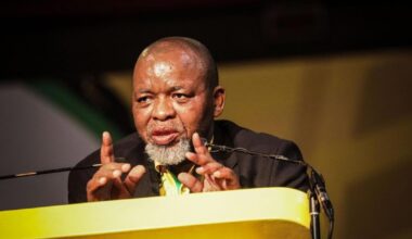 ANC wants Mantashe to clarify comments that SA youth are lazy
