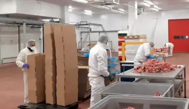 Hola Food va exporter ses produits carnés vers le Maroc