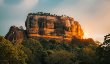 Zimbabwe air zimbabwe unveils ambitious fleet expansion to boost tourism, business connectivity, and long-haul flights across southern africa and beyond