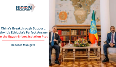 Why It’s Ethiopia’s Perfect Answer to the Egypt-Eritrea Isolation Plot – HORN REVIEW