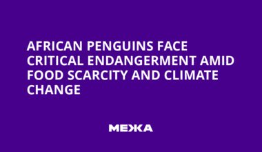 African Penguins Face Critical Endangerment Amid Food Scarcity and Climate Change | Ukraine news