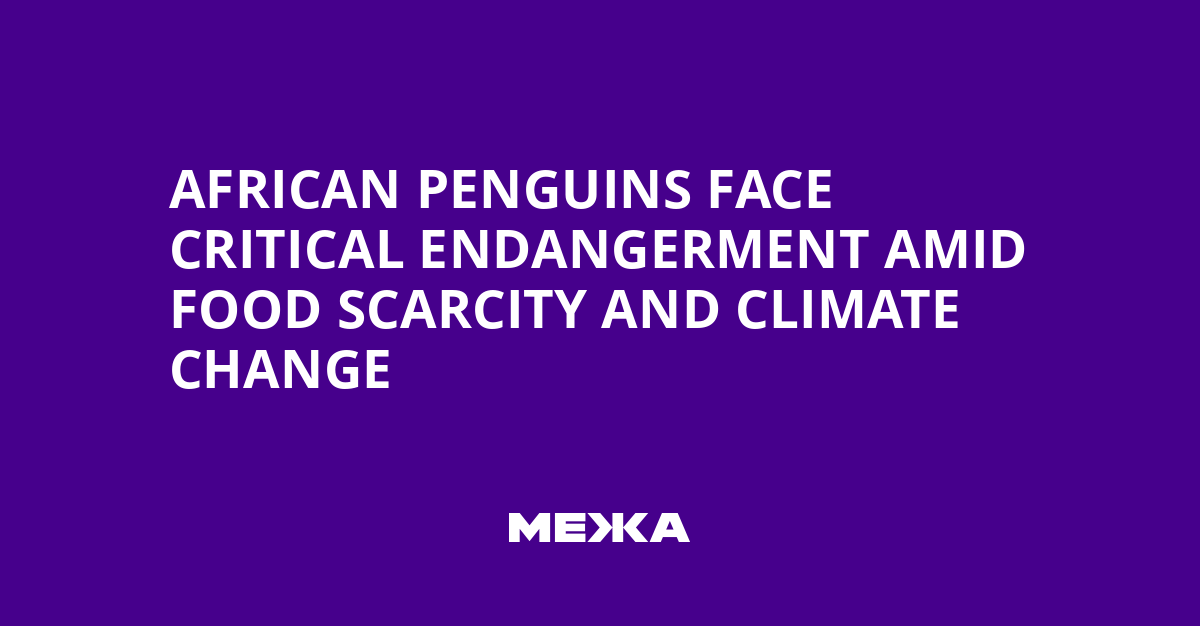 African Penguins Face Critical Endangerment Amid Food Scarcity and Climate Change | Ukraine news