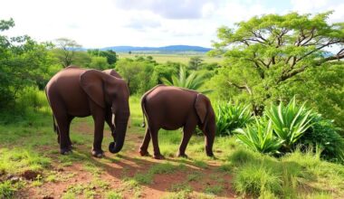 Tanzania Strengthens Eco-Tourism with Seven Hundred New Conservation Officers, Safeguarding Wildlife and Boosting its Sustainable Tourism Growth for the Economy