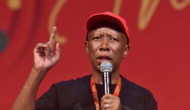 Malema orders withdrawal of EFF support for ANC in Gauteng