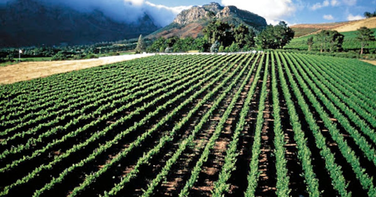 BEE status becomes main factor in EU export permits