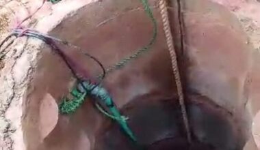Man dies in Oyo well while attempting to rescue a goat