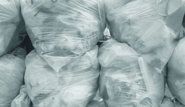 A Gen-Z duo leading a recycling movement in Tanzania