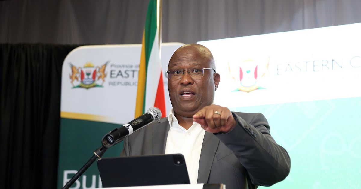 Mabuyane pushes for local jobs to keep Eastern Cape residents at home