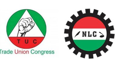 TUC and NLC logos