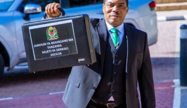 Can Tanzania Sustain a 10% Budget Expansion in 2026/27? - TICGL