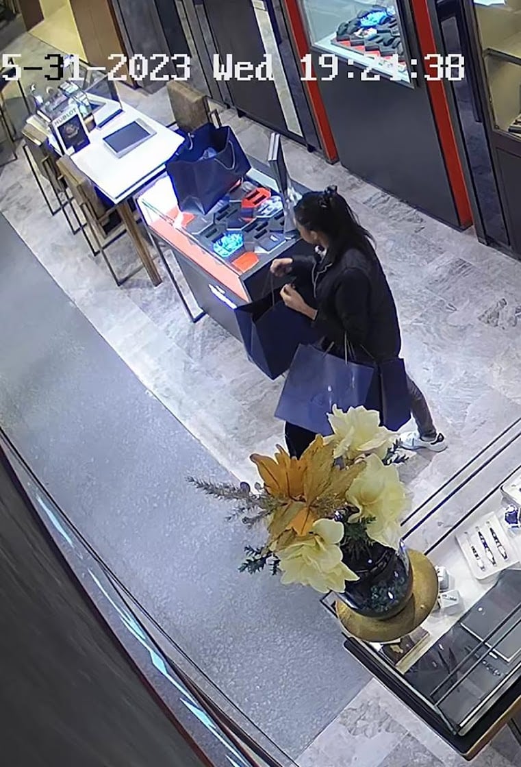 CCTV footage of Ammaarah Ismail and an accomplice allegedly stealing jewellery from Arthur Kaplan Jewellers.