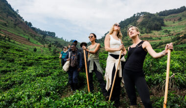 Globetrender News Subscription