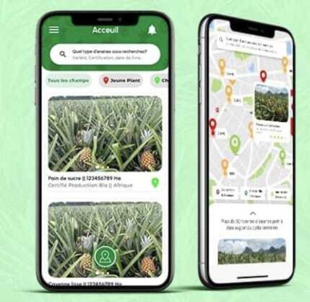 L'application e-pineA sur smartphone.