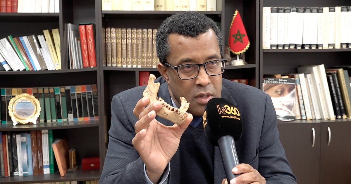 Archéologie. Sites majeurs, nouvelles données, avancées scientifiques: pourquoi 2025 pèse dans la balance