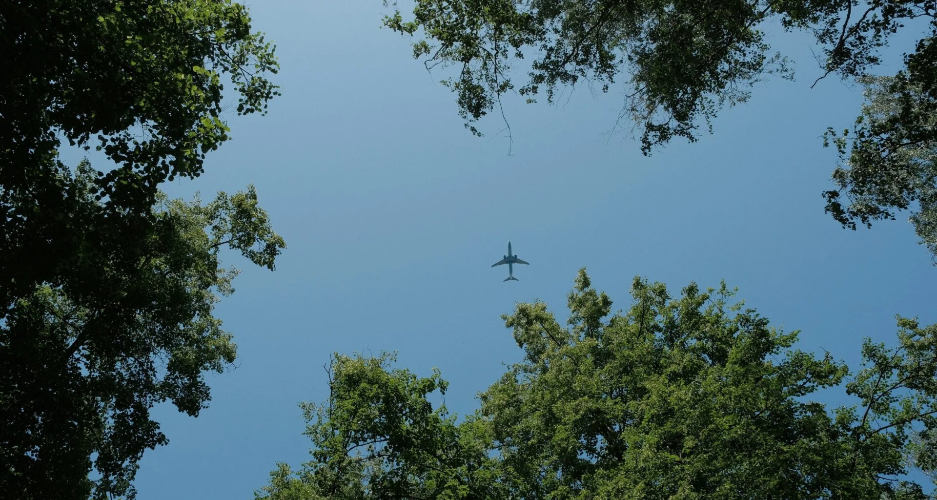 Verra Applies First CORSIA Labels To Voluntary Carbon Credits From Africa