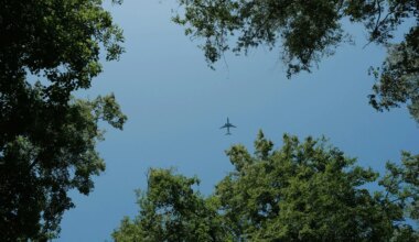 Verra Applies First CORSIA Labels To Voluntary Carbon Credits From Africa